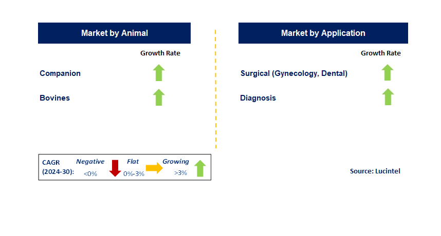 Veterinary Equipment and Disposables by Segment